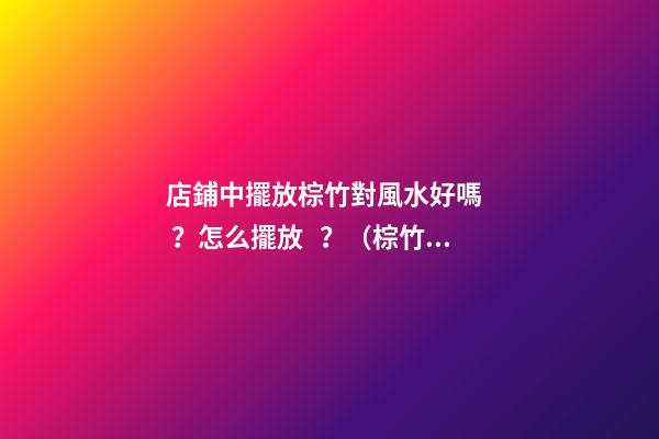 店鋪中擺放棕竹對風水好嗎？怎么擺放？（棕竹風水擺放知識）